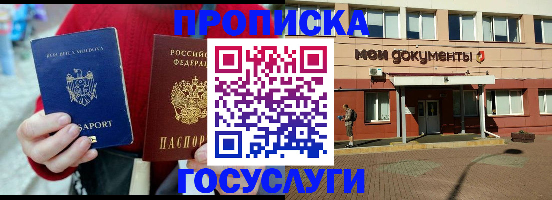 прописка в Коле
